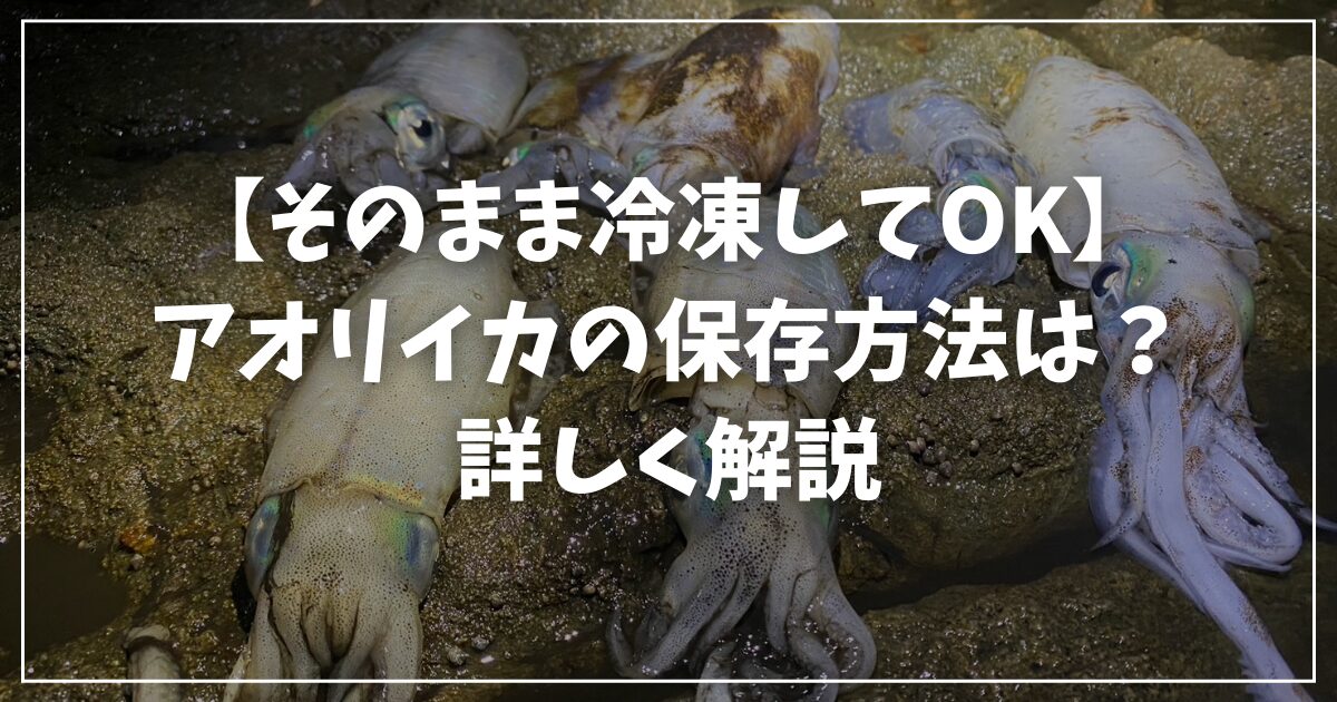 釣ったアオリイカの保存方法は？そのまま冷凍してもOK？詳しく解説 - 釣りまとめ